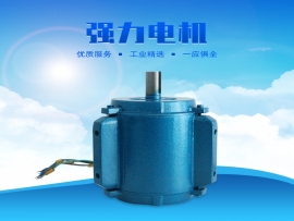 科瑞萊環(huán)?？照{(diào)1.1KW專用電機(jī)